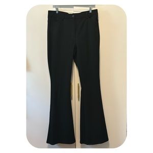 Express 14L Flared Pants